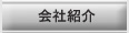 �z�[���V�A�^�[�����C�t�X�^�C����ЊT�v